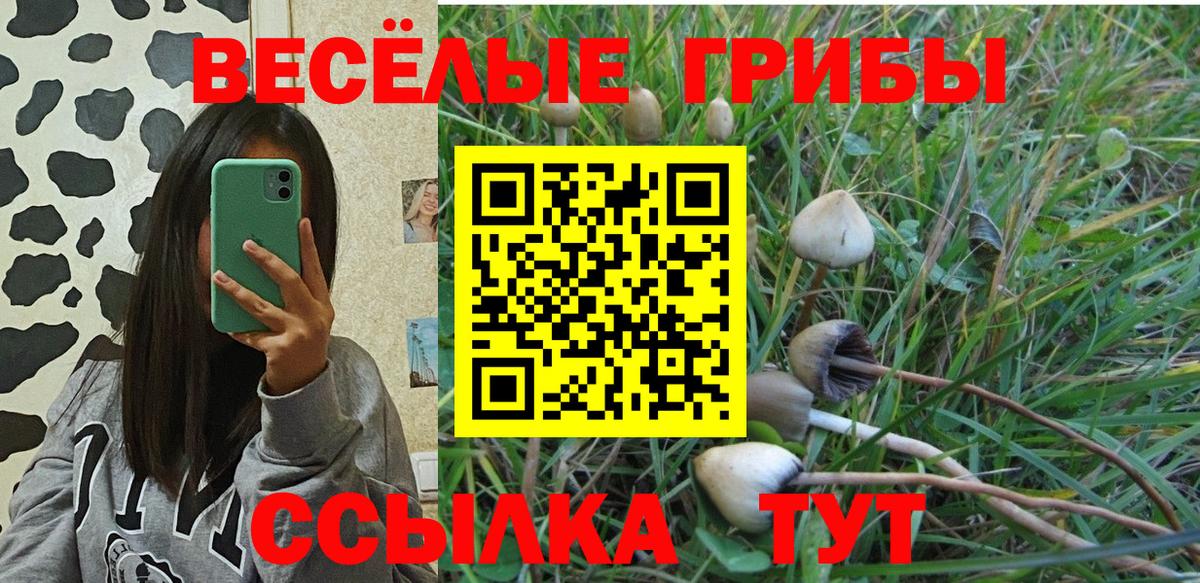 Псилоцибиновые грибы мицелий  Вход с VPN  Гусь-Хрустальный 